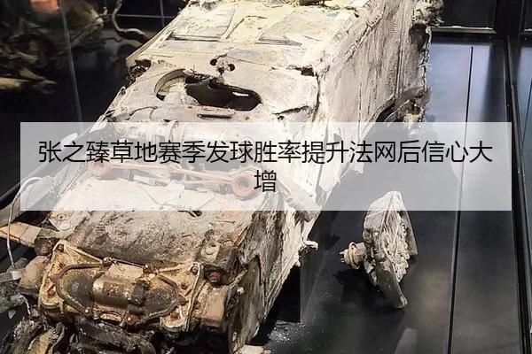 张之臻草地赛季发球胜率提升法网后信心大增